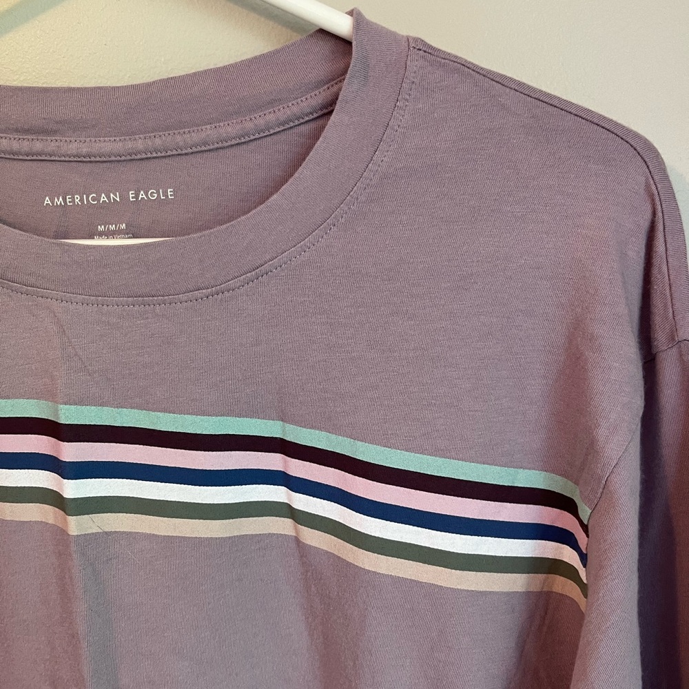 American Eagle Long Sleeve Cropped Top